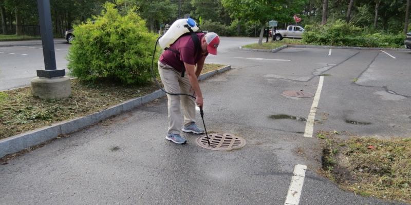 Treating Catchbasins